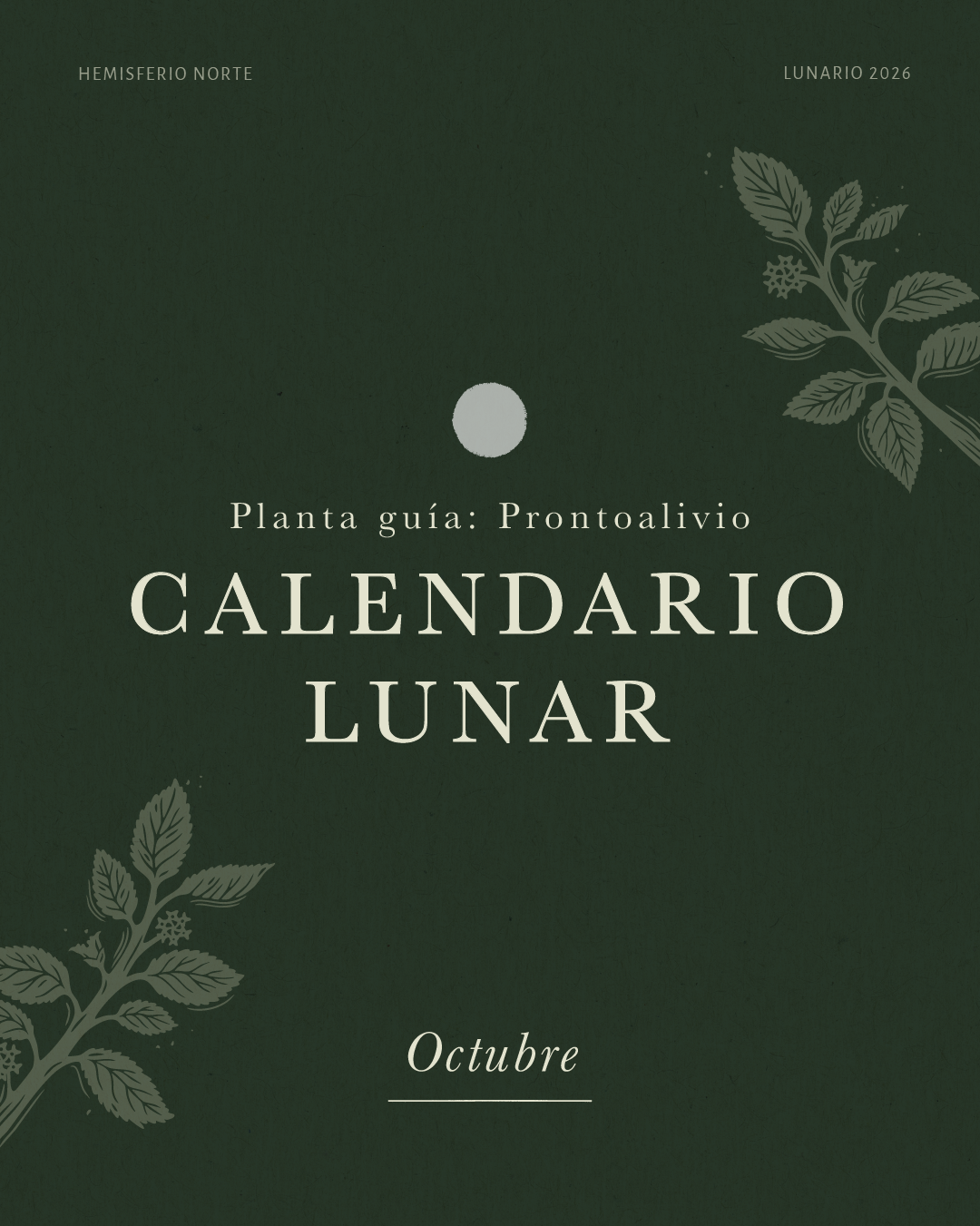 CALENDARIO LUNAR - OCTUBRE