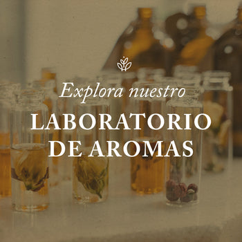 Laboratorio de Aromas