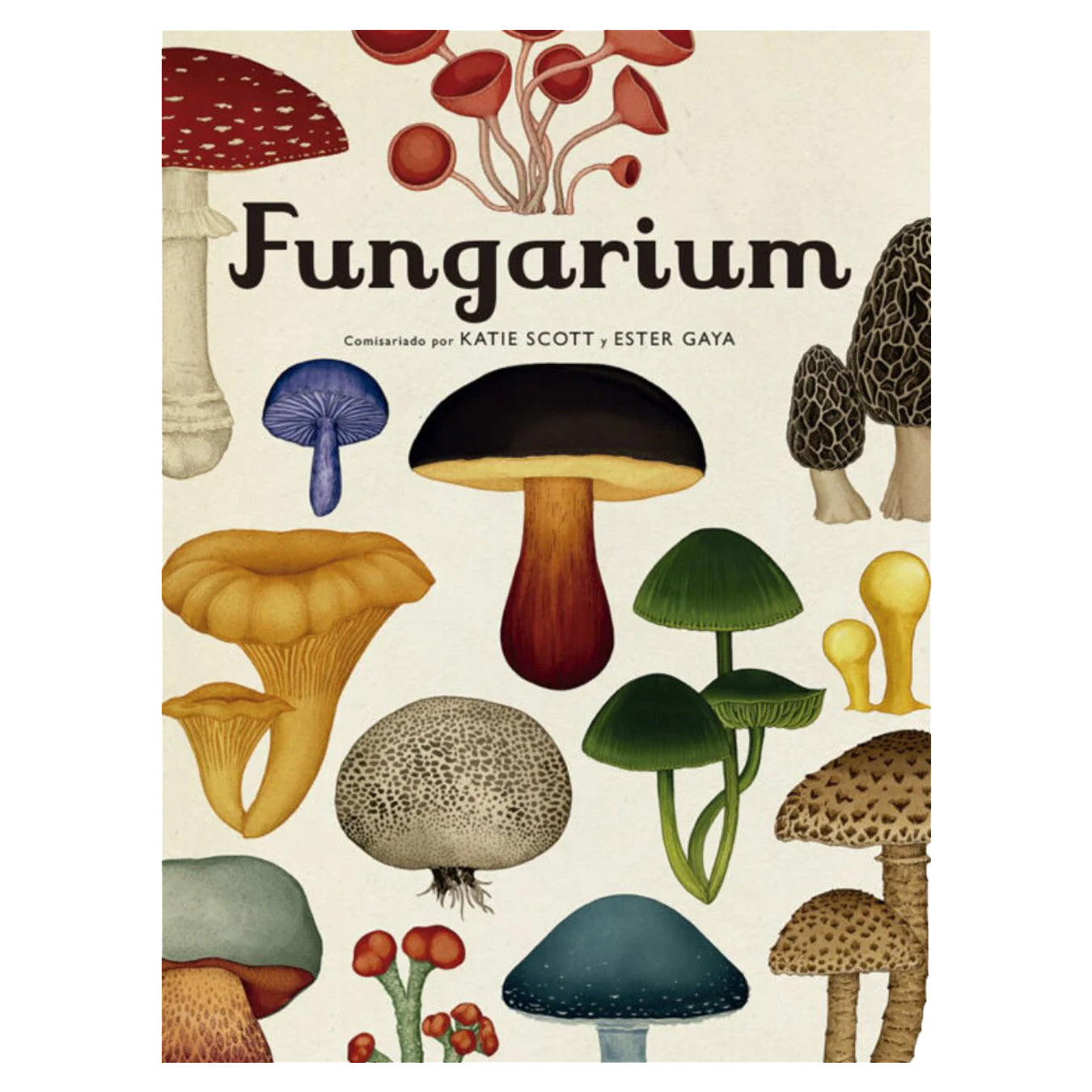 Libro Fungarium