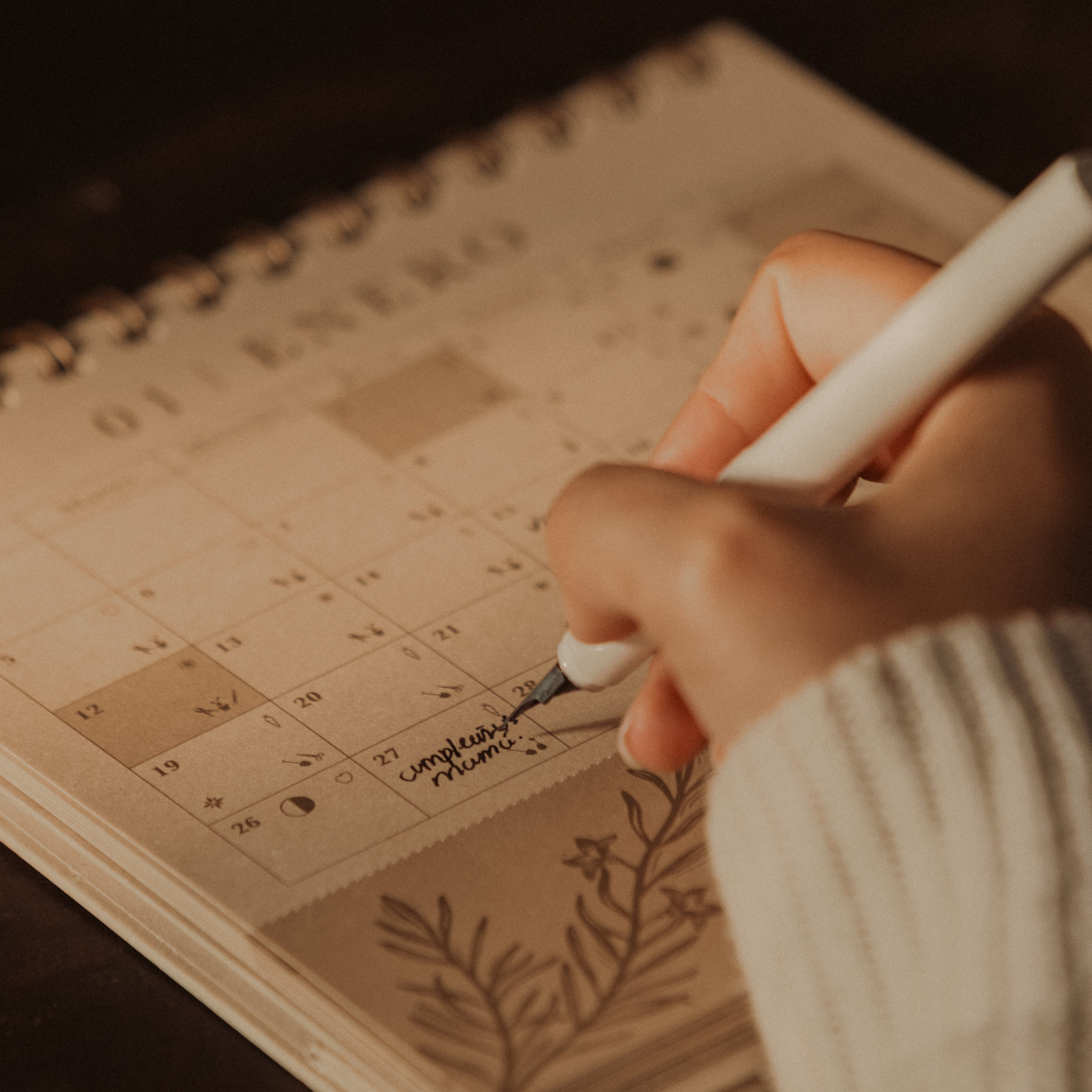 Calendario Lunar 2026