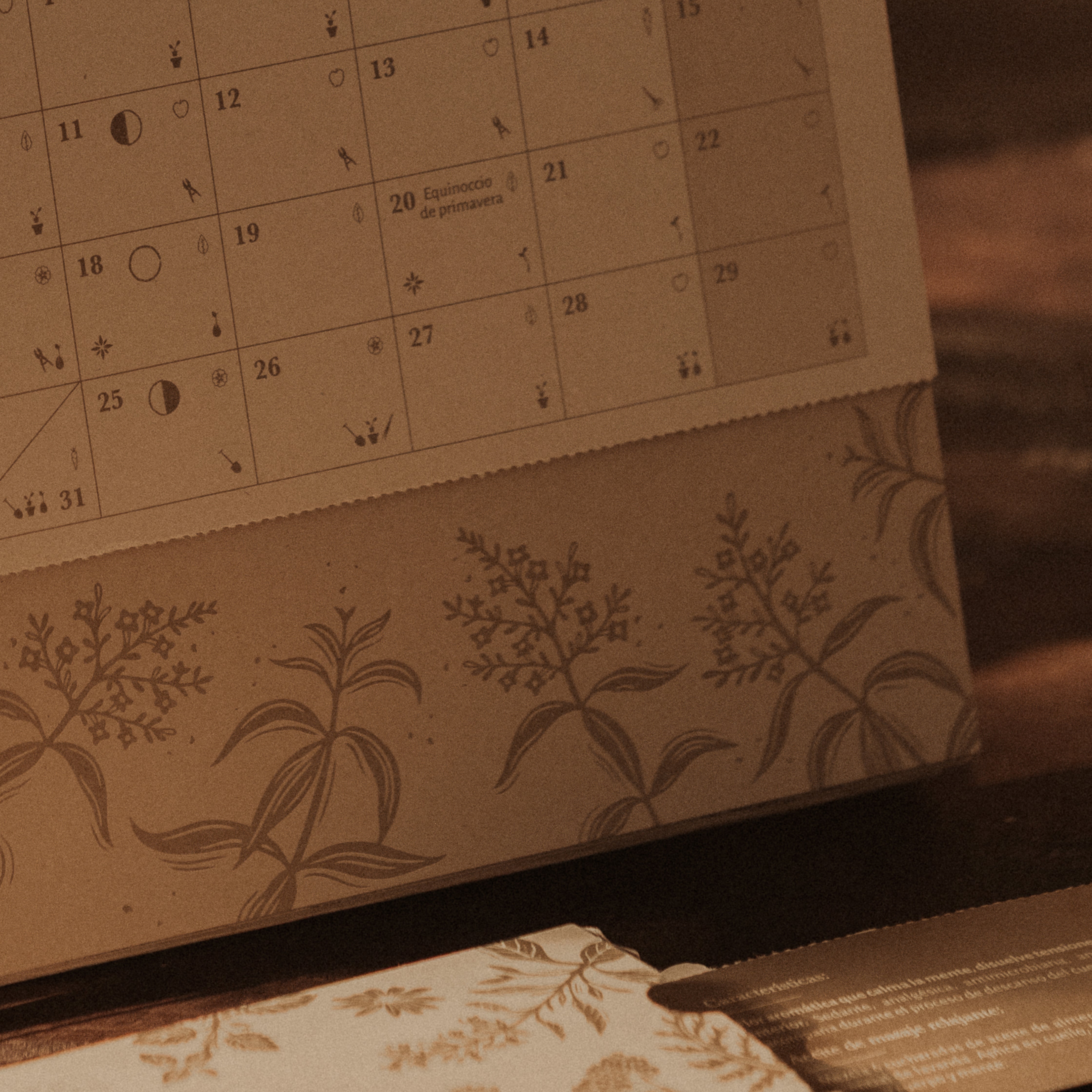 Calendario Lunar 2026