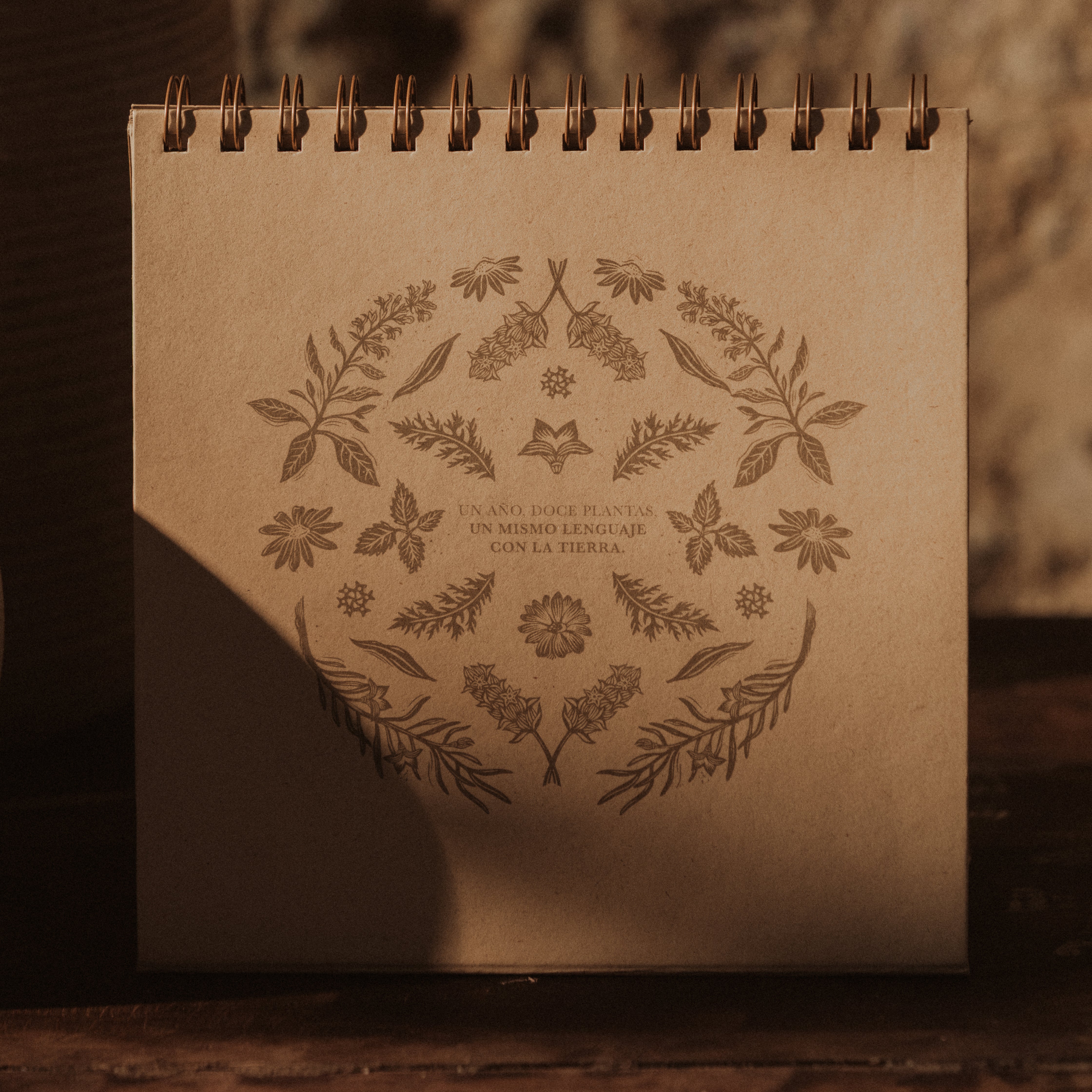 Calendario Lunar 2026