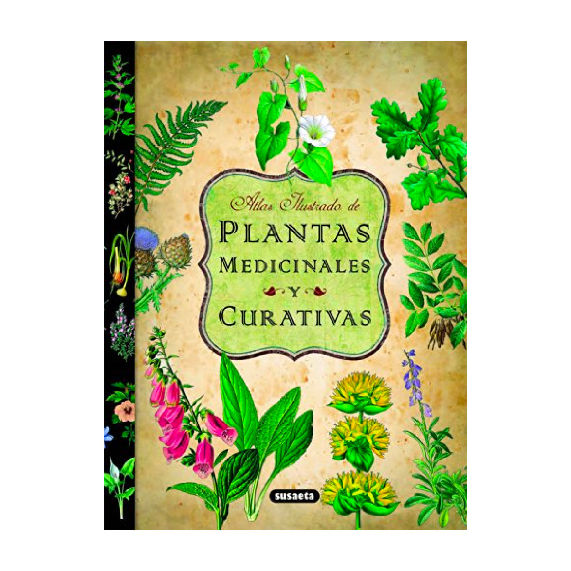 Libro Atlas Ilustrado de Plantas Medicinales y Curativas