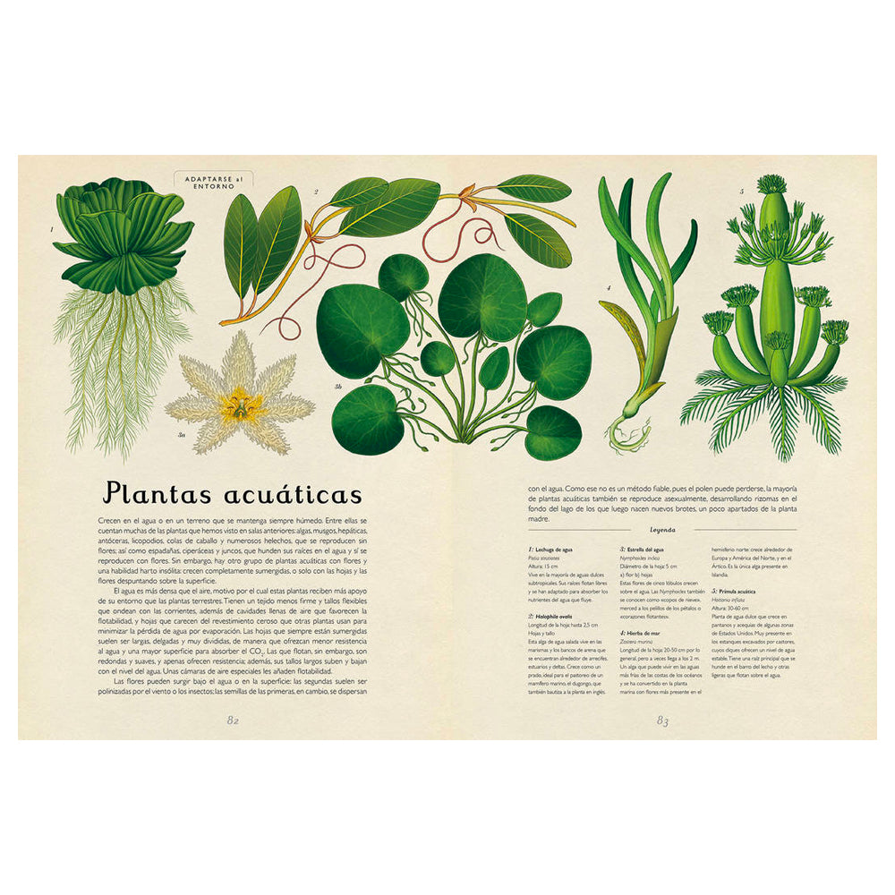 Libro Botanicum